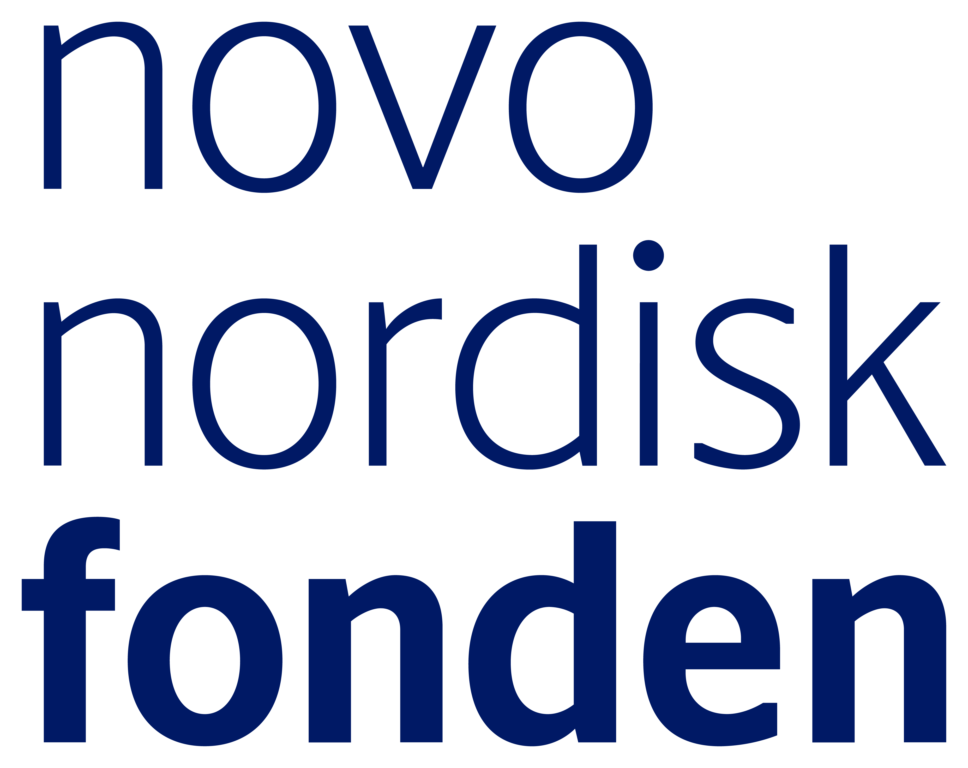 Novo Nordisk Foundation logo